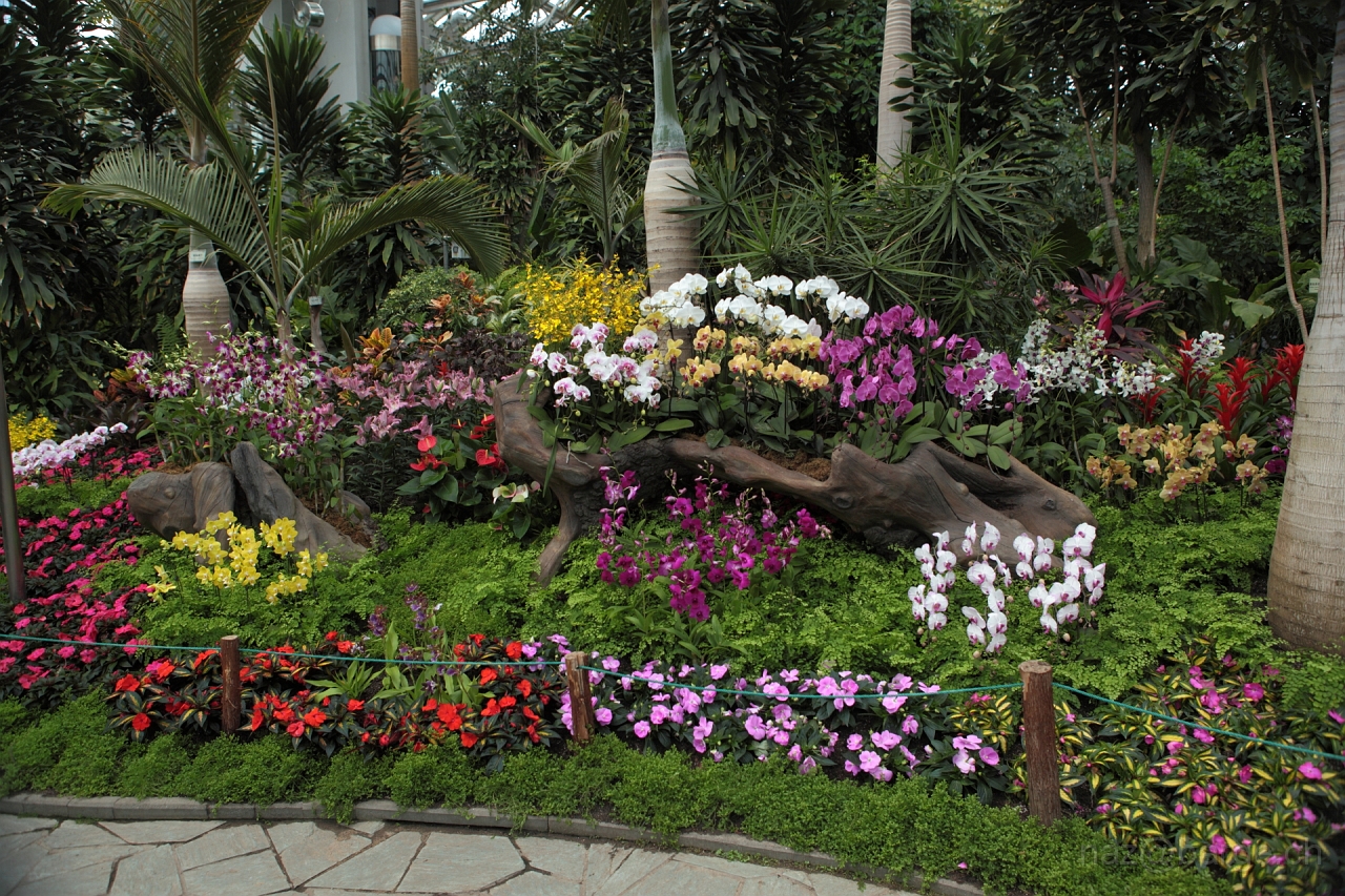 EOS 5D Mark II16_04_20135003.JPG